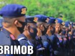 Amankan PON XX, 16 Kompi Brimob dari Berbagai Daerah di Indonesia Dikerahkan ke Papua