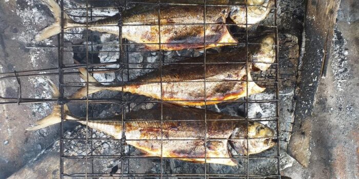 Praktisi Nutrisi: Rutin Konsumsi Ikan Kurangi Risiko Berbagai Penyakit Ini
