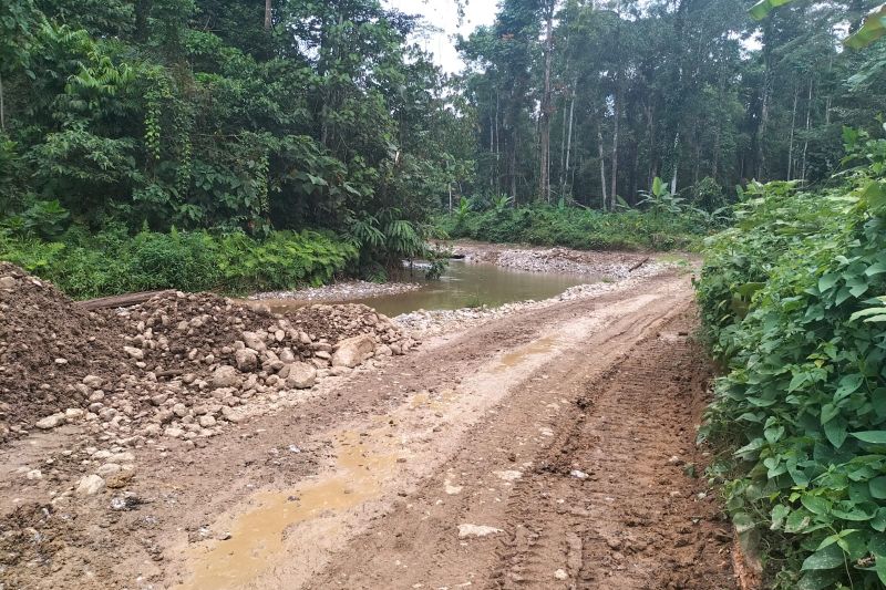 Penampakan jalur trans Papua Barat di kecamatan Windesi-Mameh wilayah kabupaten Teluk Wondama dan Manokwari Selatan dalam tahap peningkatan.