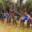 Anggota KKB di Pegunungan Tengah Papua