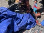 Dua Peluru Lumpuhkan Komandan Operasi Kodap XVI Kali Belle, DPO Kasus Teror di Yahukimo