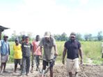 Pemkab Jayawijaya Latih Warga Manfaatkan Kultivator Mini