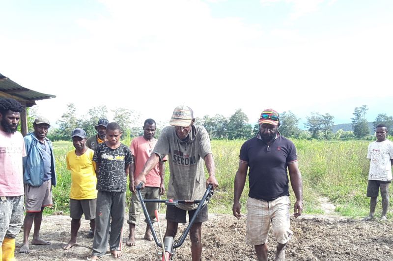 Staf Distan Jayawijaya (kanan) mendampingi seorang warga menggunakan kultivator