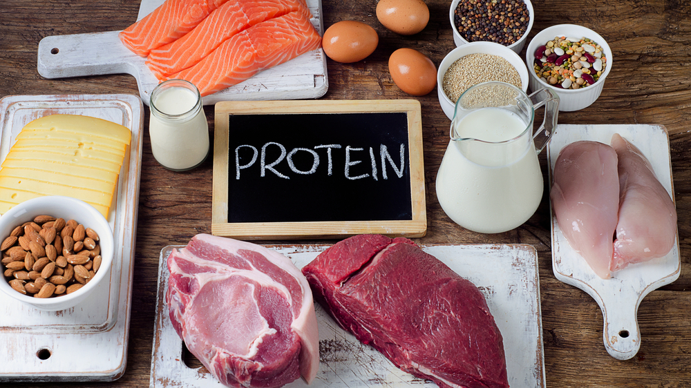 Makanan Tinggi Protein Untuk Diet