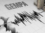 Gempa Magnitudo 5 Terjadi di Tambrauw Papua Barat Daya