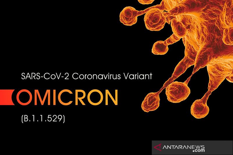 SARS-CoV-2 Coronavirus Variant Omicron