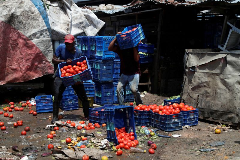 Para petugas pemerintah kota mengumpulkan sayuran-sayuran yang dibuang, karena makin sedikit orang berbelanja di pasar selama pandemi virus corona (COVID-19), di Santo Domingo, Republik Dominika, 15 April 2020.