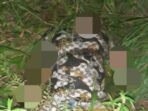 Flasnews : Mayat Wanita Warga Serui Mekar Ditemukan Membusuk di Irigasi, Ini Identitasnya