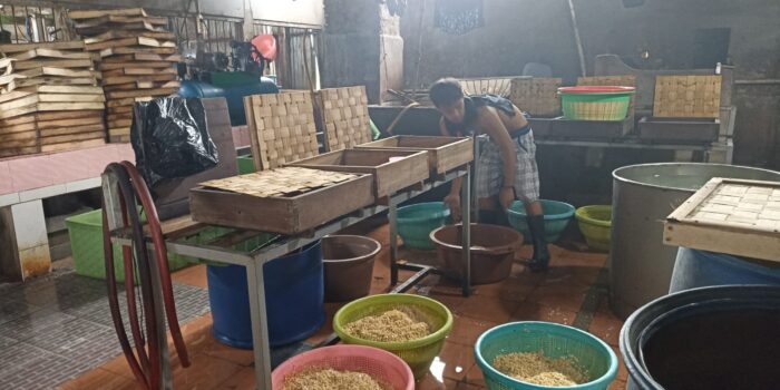 Harga Kedelai Capai Rp 20 Ribu Perkilo, Perajin Tahu di Timika Wacanakan Mogok Produksi