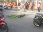 Seorang Anak Tewas, Ayah dan Ibu Masuk RSMM, Jalan Berlumuran Darah, Kantor Mpaigelah Dilempar Buntut Laka Hebat di SP 2 Timika