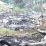Tempat penampungan pendulang di Distrik Baya Biru, Kabupaten Paniai, Papua dibakar KKB. 