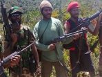 10 Anggota TNI Diserang KKB di Kenyam, Dilempari Granat, Danton Meninggal Dunia