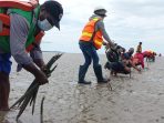 Merawat Kehidupan di Pulau Waii Ditengah Tantangan Arus Sungai Ajkwa – Mimika (Bagian 1) 