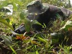 Pasukan Infanteri Elit Siap Dikirim ke Papua, Pangdam Rumekso : Jangan Sampai Ada Kerugian Personil Karena Kecerobohan Sendiri
