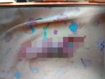 Flashnews: Warga Semangka SP 2 Dihebohkan Penemuan Orok Bayi di Kali, Sengaja Dibuang