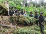 Sejumlah pohon ganja yang diamankan TNI