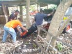 Polisi Temukan Mayat Wanita Tanpa Identitas di Pondasi Bangunan Rumah di Sentani Timur