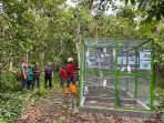 Tuntas Menjalani Habituasi di Kandang Transit Buper Waena, 38 Satwa Endemik Papua Siap Kembali ke Alam