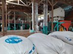 Program Electrifying Agriculture PLN, Tingkatkan Produksi Penggilingan Padi ‘Berkah Vitary’ Hingga 100 Persen