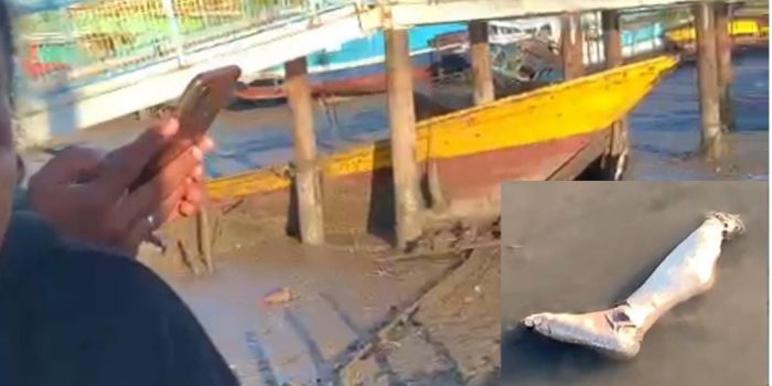 Bikin Merinding !!! Sepotong Kaki Tergeletak di Atas Lumpur Pelabuhan PPI Pomako Timika, Milik Siapa?