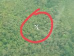 Ini Nama Pilot dan Penumpang Pesawat Susi Air yang Alami Kecelakaan di Duma, Tim SAR Siapkan Evakuasi