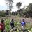 Foto: Dok. Terlihat sejumlah petani Mama-mama Papua disalsahsatu wilayah di Mimika saat mengelola kebun.