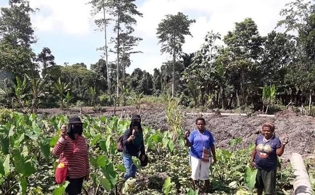 Foto: Dok. Terlihat sejumlah petani Mama-mama Papua disalsahsatu wilayah di Mimika saat mengelola kebun.