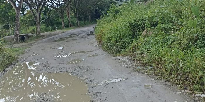 Sudah Tahunan Tidak Diperbaiki, Jalan Kampung Naena Muktipura Rusak Parah, Warga Berharap Tahun Ini Diaspal Kembali