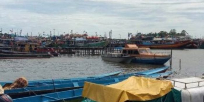 3.000 Kapal Beroperasi Tanpa Ijin di Laut Arafura, DFW Rekomendasikan Timika Buka Gerai Perizinan