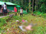 Lagi, Seorang Penjaga Kios Dibunuh di Lokasi Tambang Ilegal Kawe Awimbon di Pegunungan Bintang