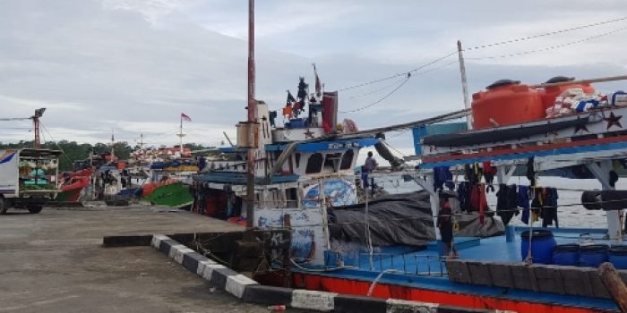 Investor Lirik Investasi Unit Pengolahan Ikan Beku di Kabupaten Mimika Senilai Rp 45 Miliar