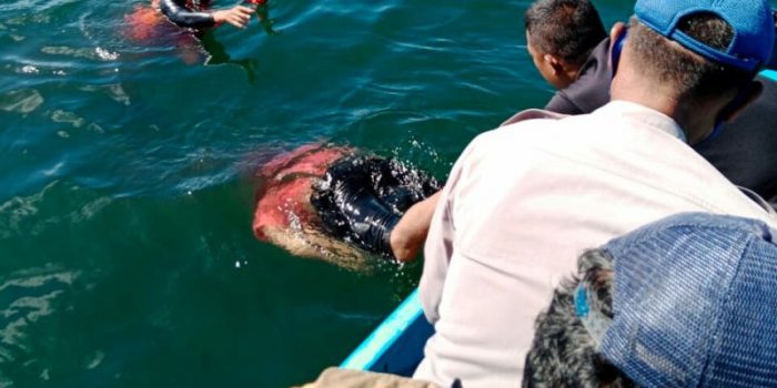 Korban Perahu Terbalik di Perairan Wondama Ditemukan Meninggal Dunia