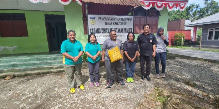 John NR Gobai Apresiasi Dishut Lingkungan Hidup Papua dan CDK Mimika Kelola Mangrove di Kampung Pigapu