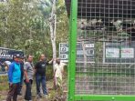 BKSDA Lepasliarkan 17 Jenis Satwa Endemik Papua di Nimbokrang