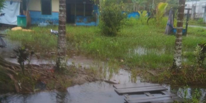 Genangan Air di Hutan Sagu Jadi Sarang Nyamuk, Kelurahan Wania Darurat Banjir, Surati PUPR Mimika Minta Alat Berat