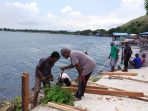 Sambut KMAN VI, Masyarakat Adat Kampung Nendali Gotong Royong Bangun Dermaga