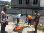 Polisi Bakar Ganja Seberat 259 Gram di Jayapura