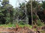 Warga Kampung Pomako, Tuntut Ganti Rugi Tanah Garapan Lokasi Pendirian Tower PLTMG