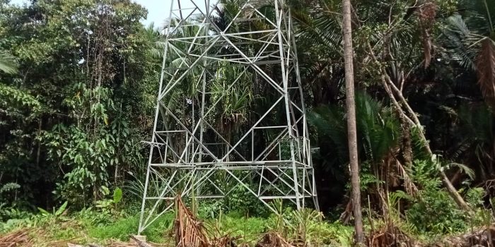 Warga Kampung Pomako, Tuntut Ganti Rugi Tanah Garapan Lokasi Pendirian Tower PLTMG