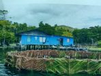 Pemkab Jayapura Ciptakan Sarang Buatan Kembalikan Populasi Ikan Gabus di Danau Sentani