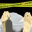 99eaaf35 4d71 4c0e 90eb cd7481ad3855
