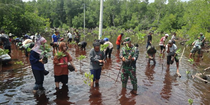 Mahasiswa FMIPA Uncen Gandeng Korem 172/PWY Restorasi Hutan Mangrove Pantai Enggros Abepura