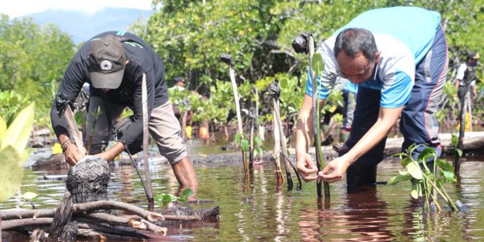 HUT Humas Polri ke-71, Bid Humas Polda Papua Tanam 500 Mangrove di Pesisir Pantai Holtekamp Cibey Jayapura