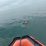IMG 20221101 WA0039