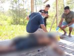 Mayat Dengan Luka Sabetan Senjata Tajam Ditemukan di Kilometer 10 Holtekamp, Korban Diduga Meninggal Karena Dianiaya