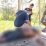 IMG 20221125 WA0071