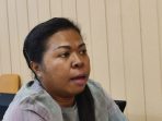 KPU Mimika Usulkan Rancangan Baru Pembagian Dapil ke KPU RI, Distrik Miru Jadi Tiga Dapil