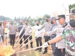 Ribuan Miras dan 18 Kg Ganja Serta Ratusan Obat Terlarang Dimusnahkan Polisi di Jayapura