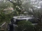 Angin Kencang Landa Timika, Tiga Mobil dan Seorang Warga Tertimpa Pohon Roboh