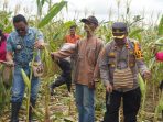 Penjabat Bupati Hadiri Panen Jagung Perdana “Gerakan Menanam” Binaan Binmas Polres Mappi